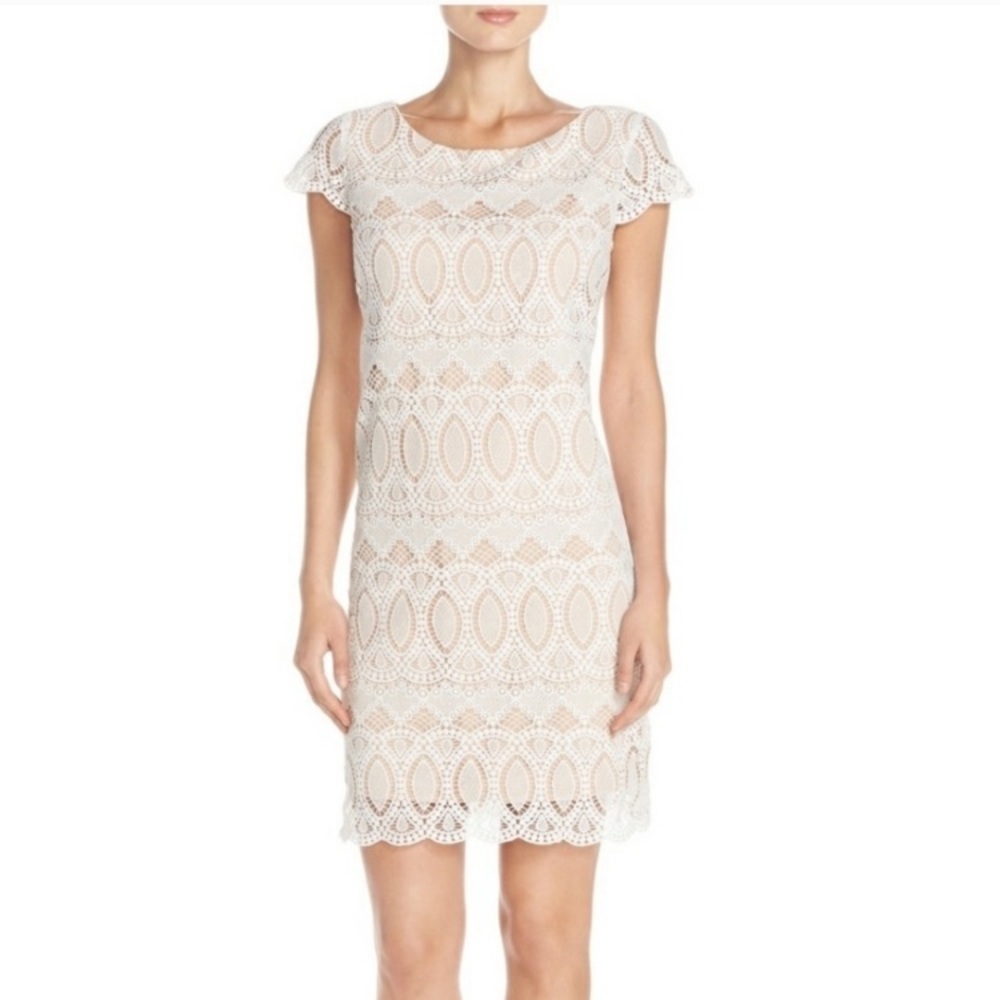 Eliza J White‎ Eyelet Sheath Elegant Lace Mini Dress Bridal Shower 0P Petite